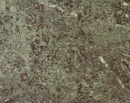 VERDE ALPI